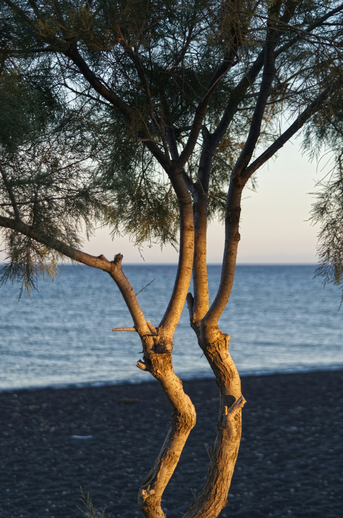 A black volcanic sand beach in Santorini with loungers and blue umbrellas