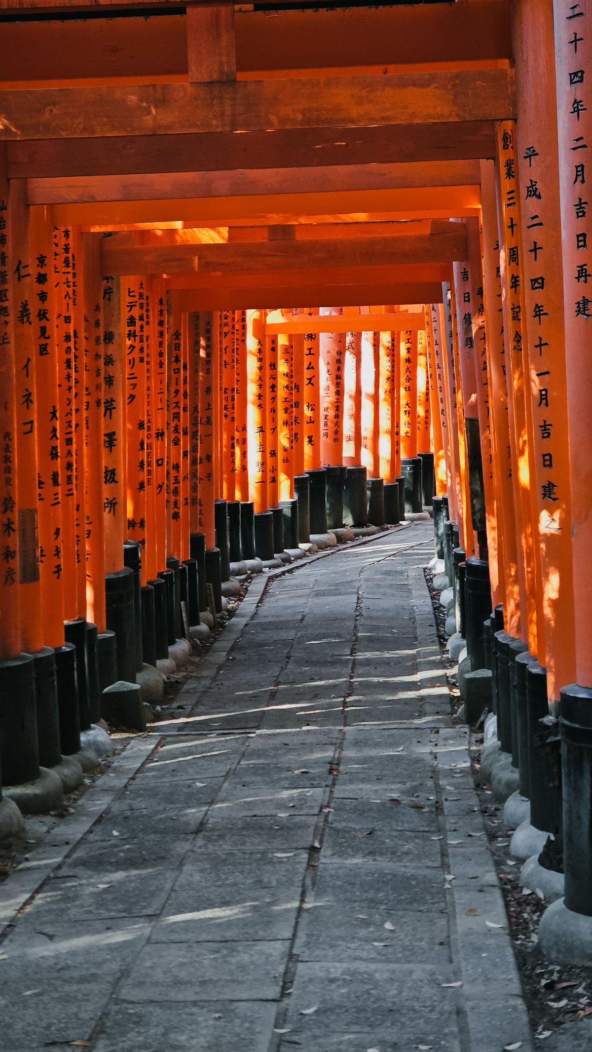 The dense vermilion torii gate tunnel at Fushimi Inari Shrine