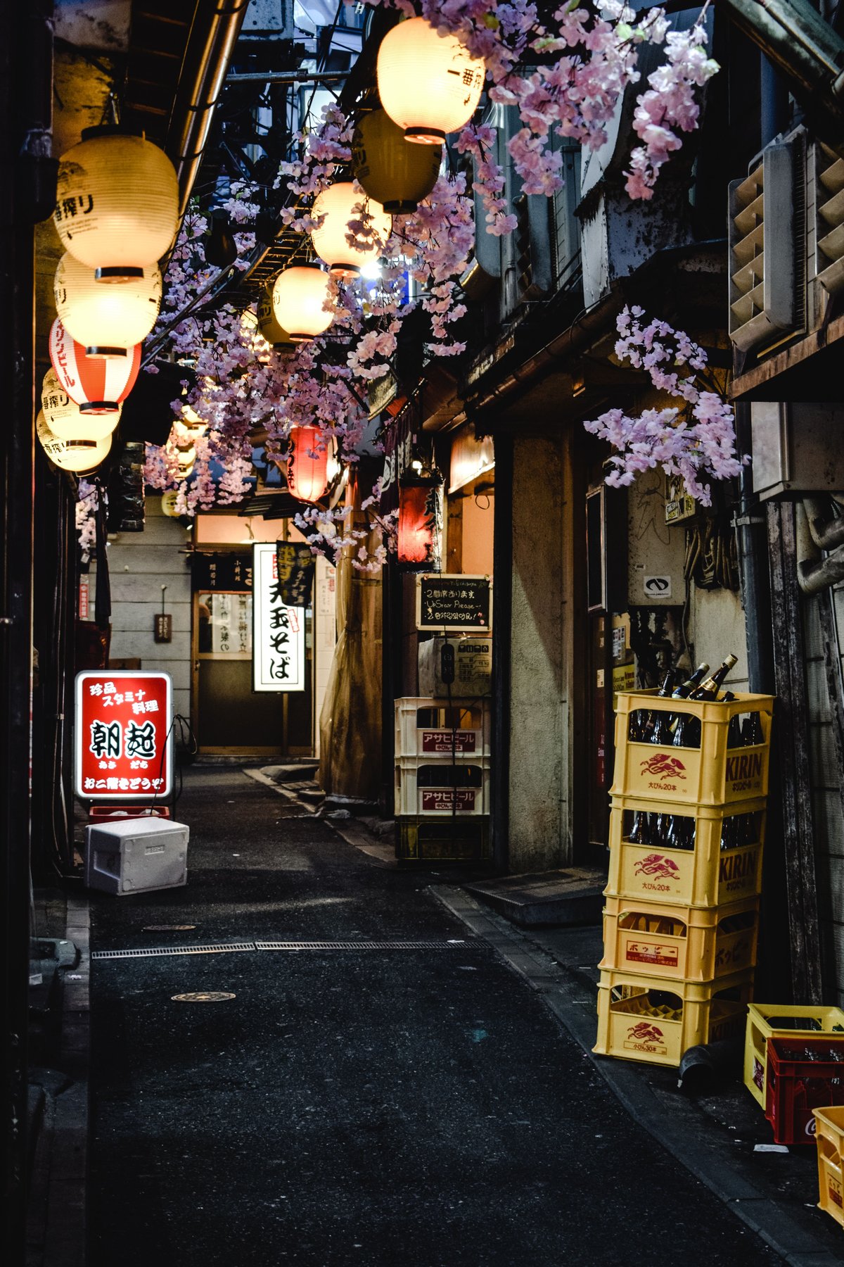 A lantern-lit izakaya alley at night with cherry blossoms overhead
