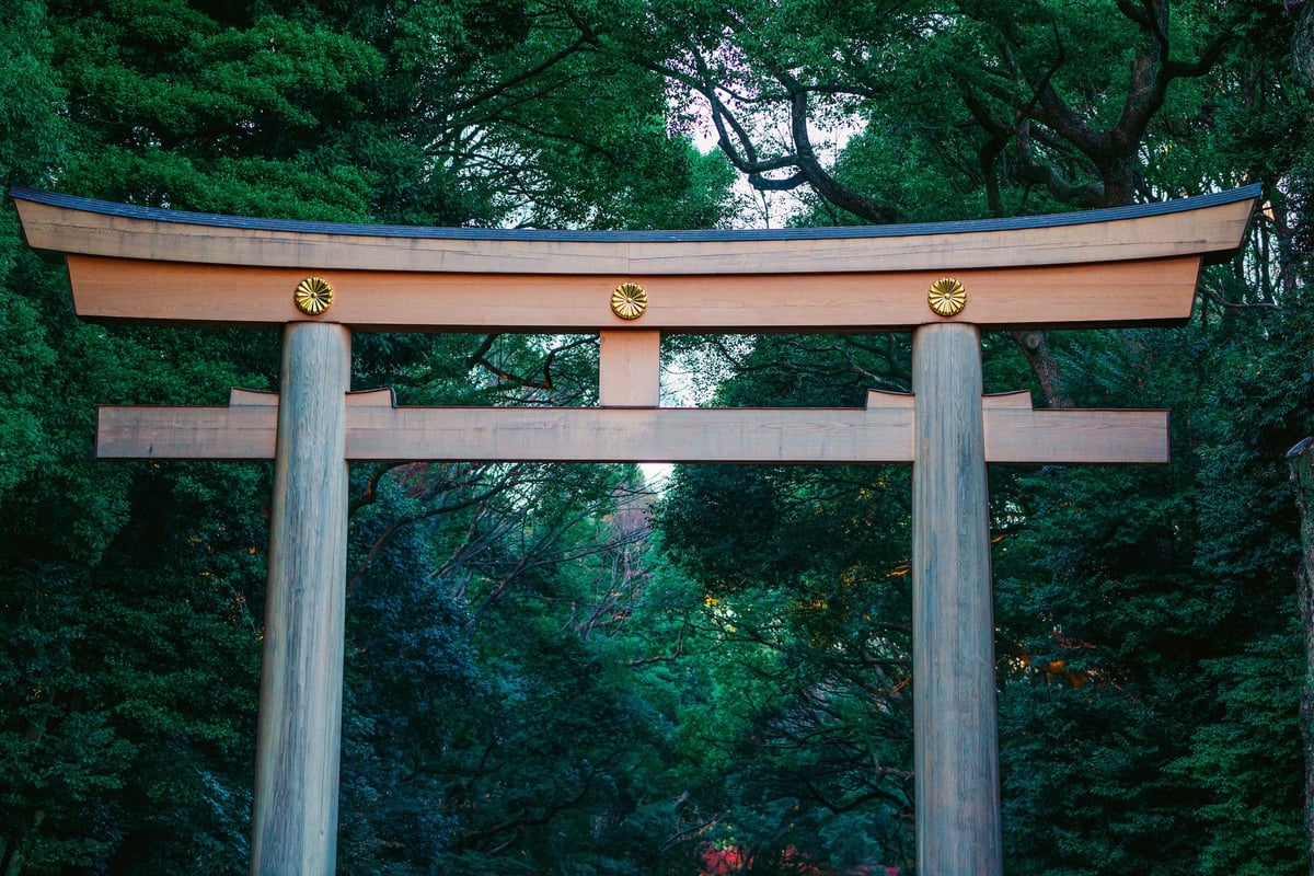 A large wooden torii gate at Meiji Shrine framed by tall forest trees