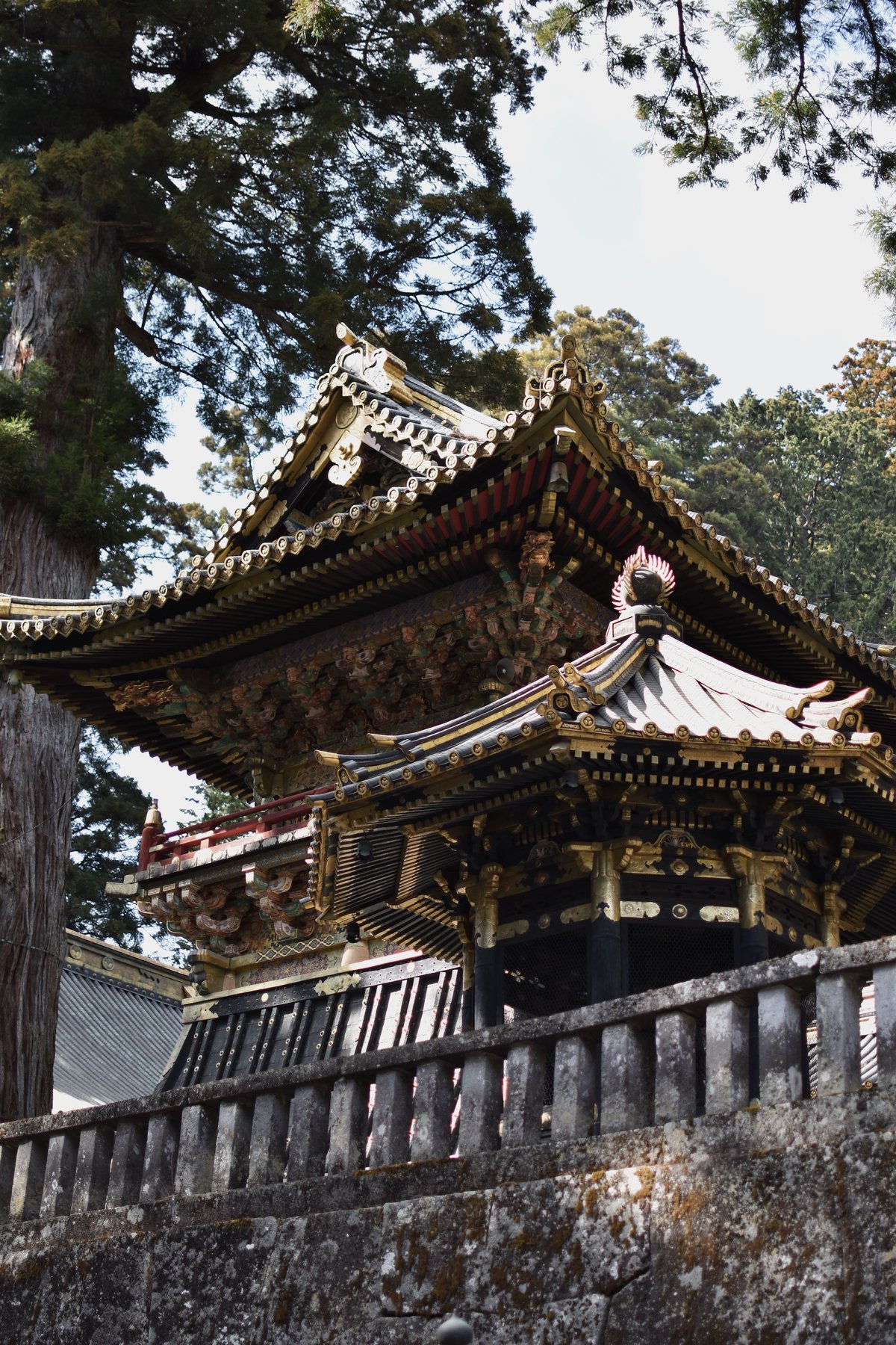 Toshogu Shrine's ornate gold-decorated roof among tall cedar trees, Nikko