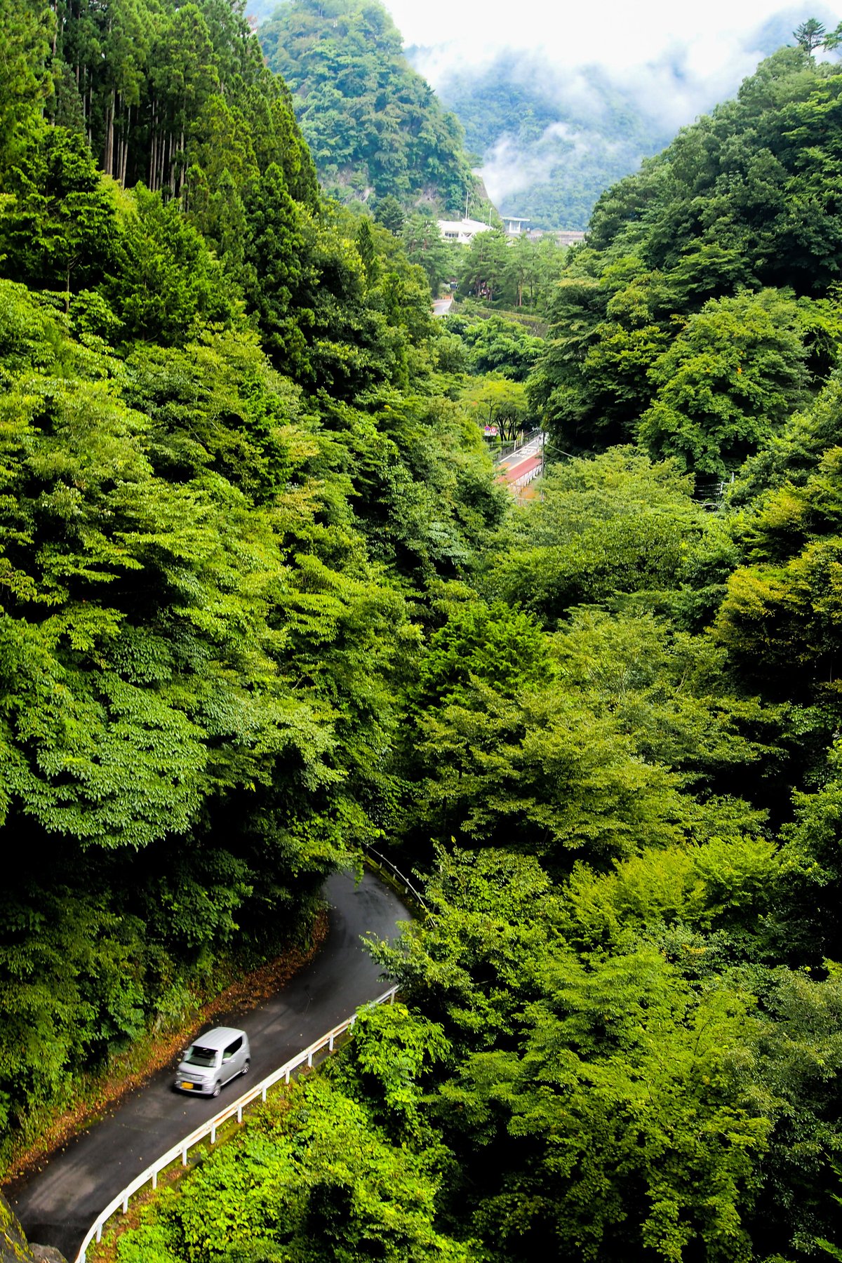 A small rental car on a winding mountain road through a forested valley