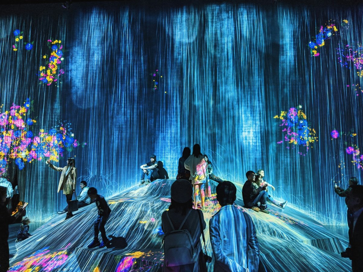Visitors silhouetted inside an immersive digital light art installation