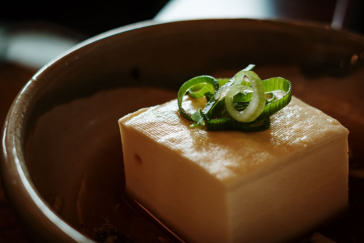 A block of fresh tofu garnished with sliced green onion