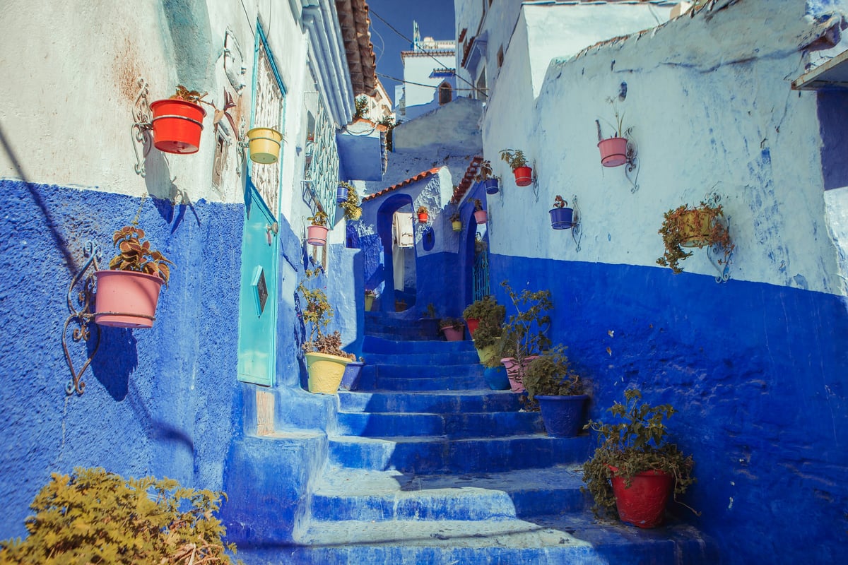 A blue alley in Chefchaouen with plant pots and steps, no clear faces