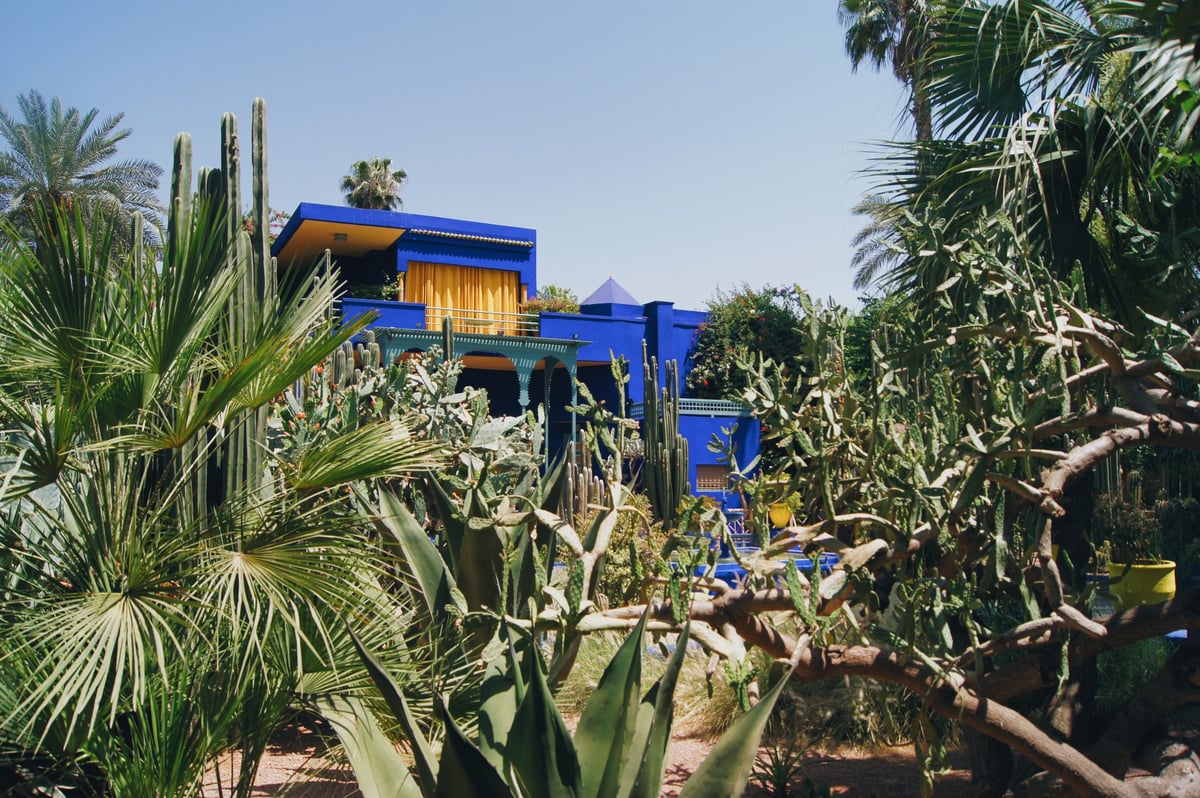 The cobalt-blue Majorelle villa surrounded by cactus and palms, no clear faces