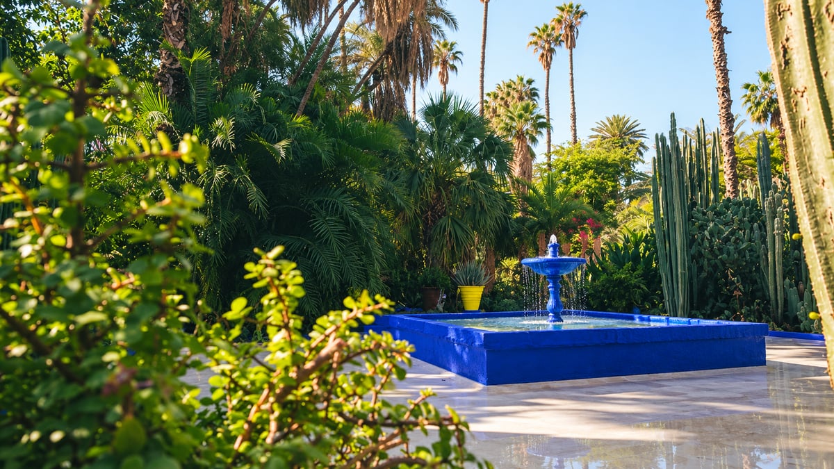 A cactus and pool detail in the Majorelle Garden, no clear faces