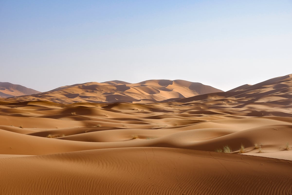 Tall golden Erg Chebbi dunes at Merzouga at sunrise, no people