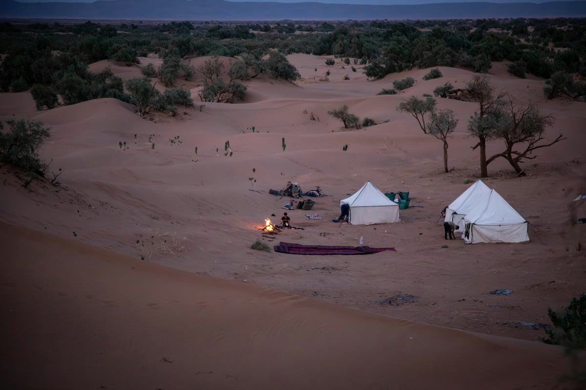 Desert camp tents at the foot of golden dunes at dusk, no faces