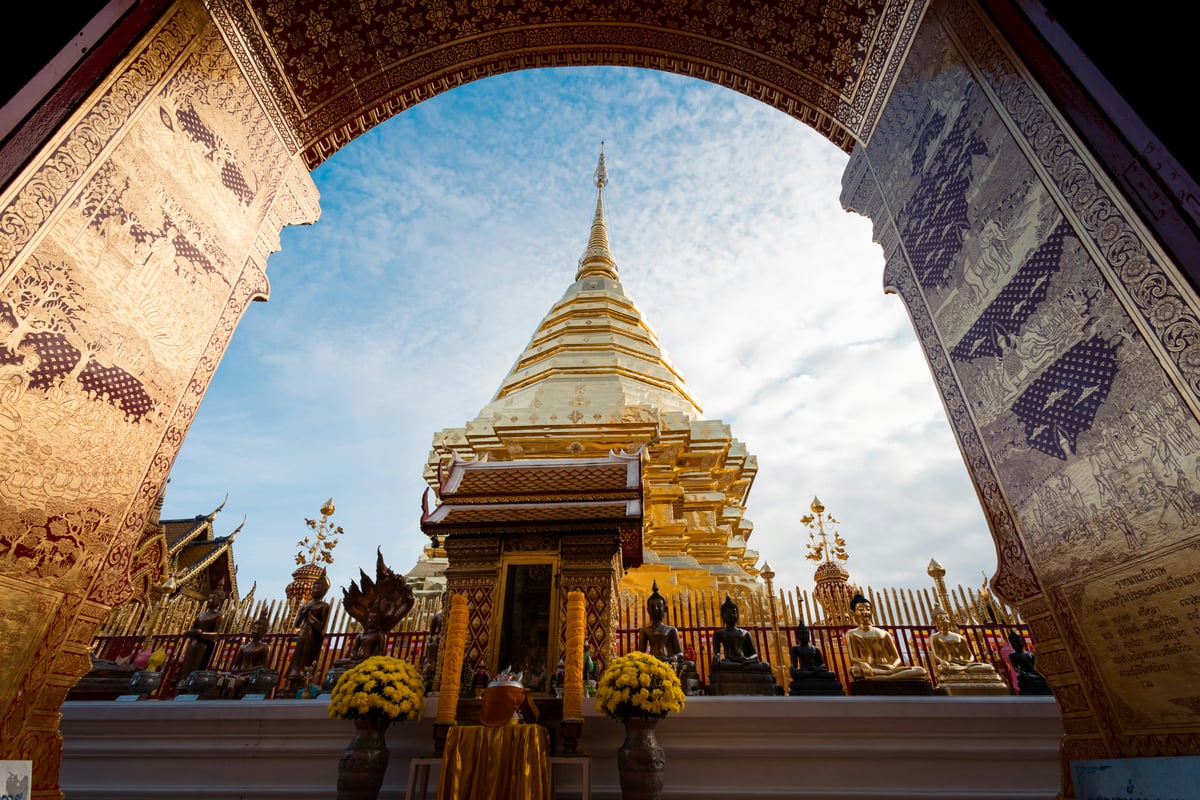 Mountain temple Doi Suthep with its golden chedi, or elephants in a green sanctuary