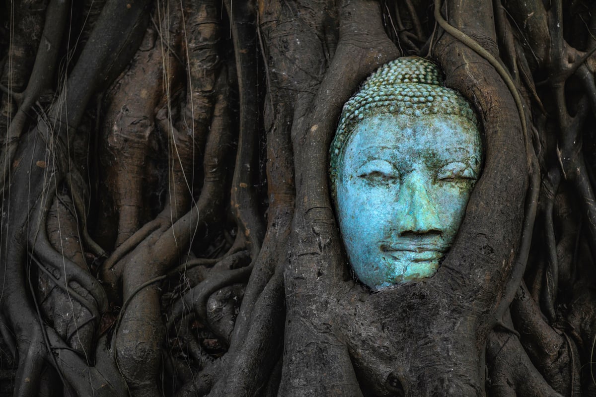 The famous Buddha head in tree roots at Wat Mahathat