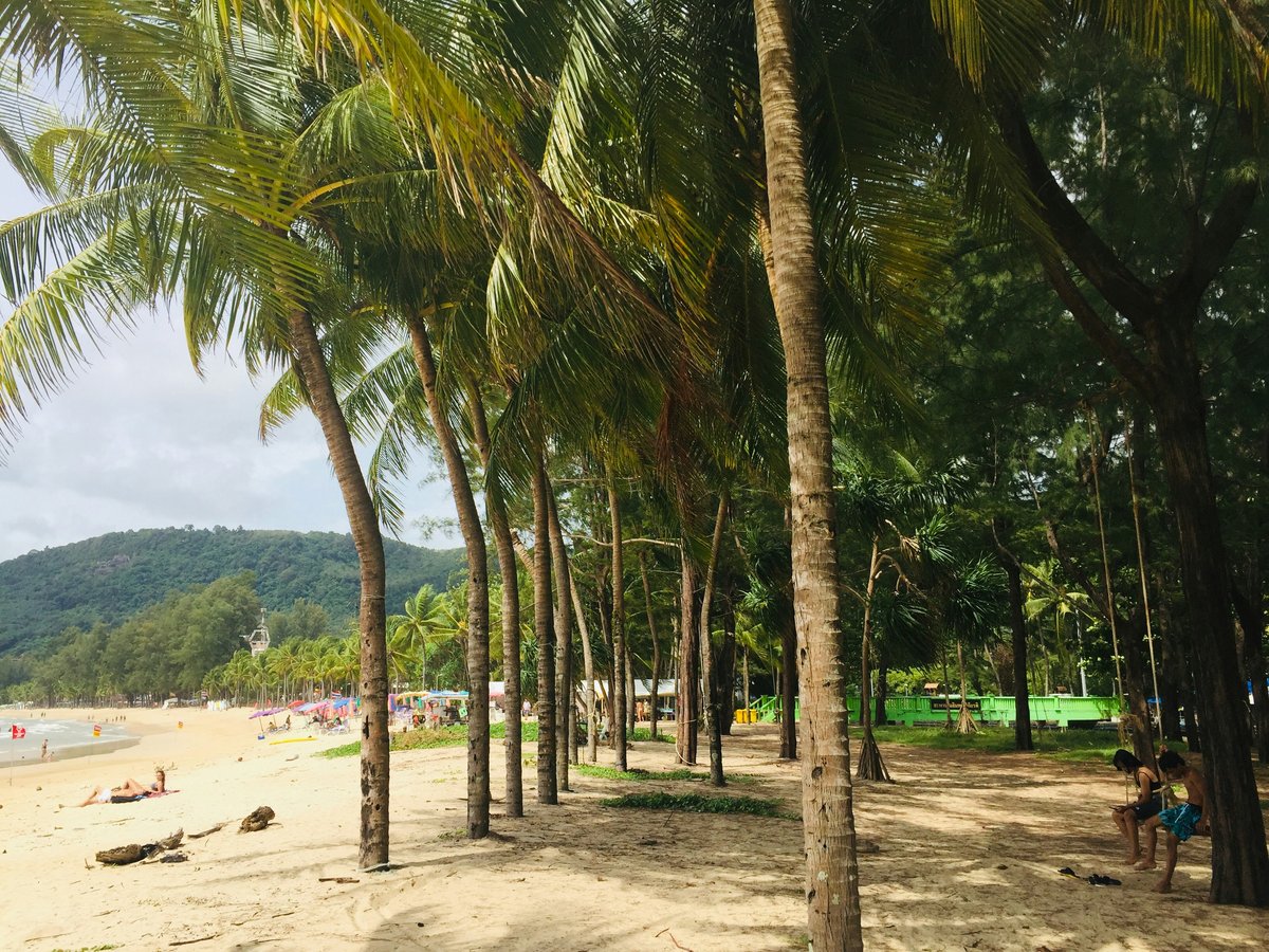 A quiet, palm-fringed Thai beach with calm clear water
