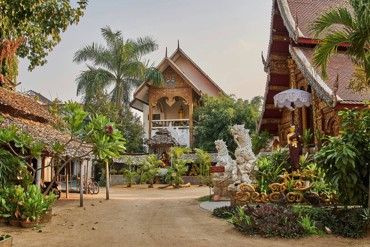 Chiang Mai's old-city temples or the mountain temple Doi Suthep