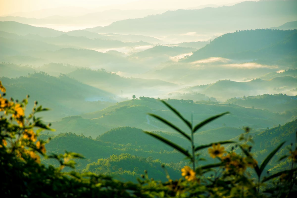 A northern Thai temple or misty mountain landscape
