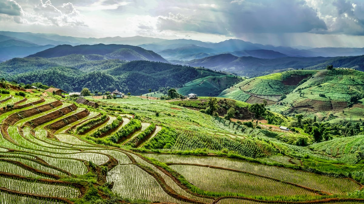 An Isan rural scene — rice fields, a local market, or a Khmer ruin