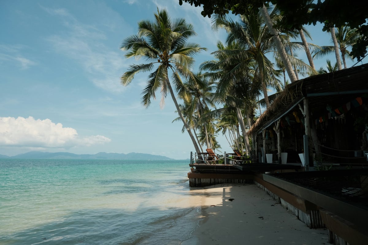 A palm-fringed Koh Samui beach with calm turquoise water
