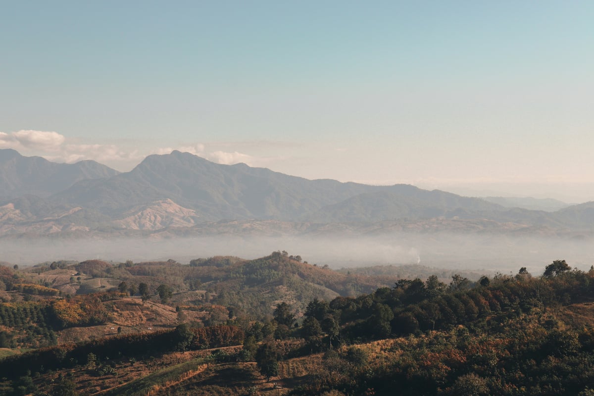 Pai's green valley with mountains, rice paddies, and morning mist