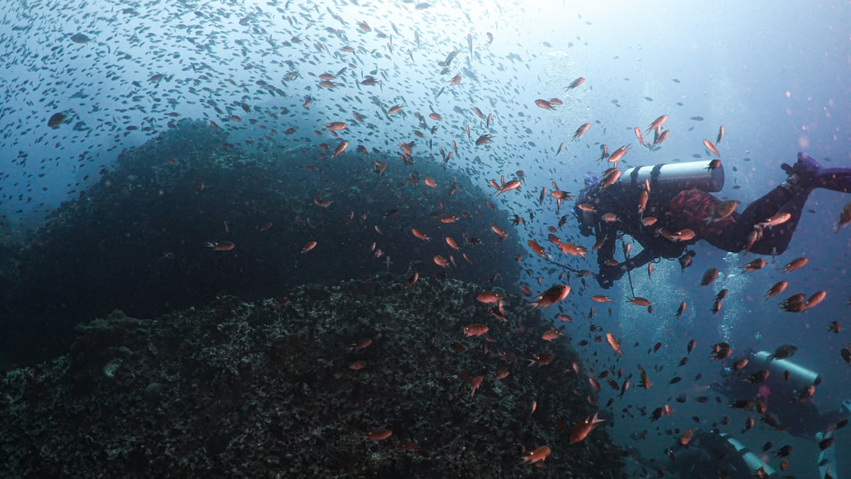 A diver or snorkeler exploring a reef in turquoise water