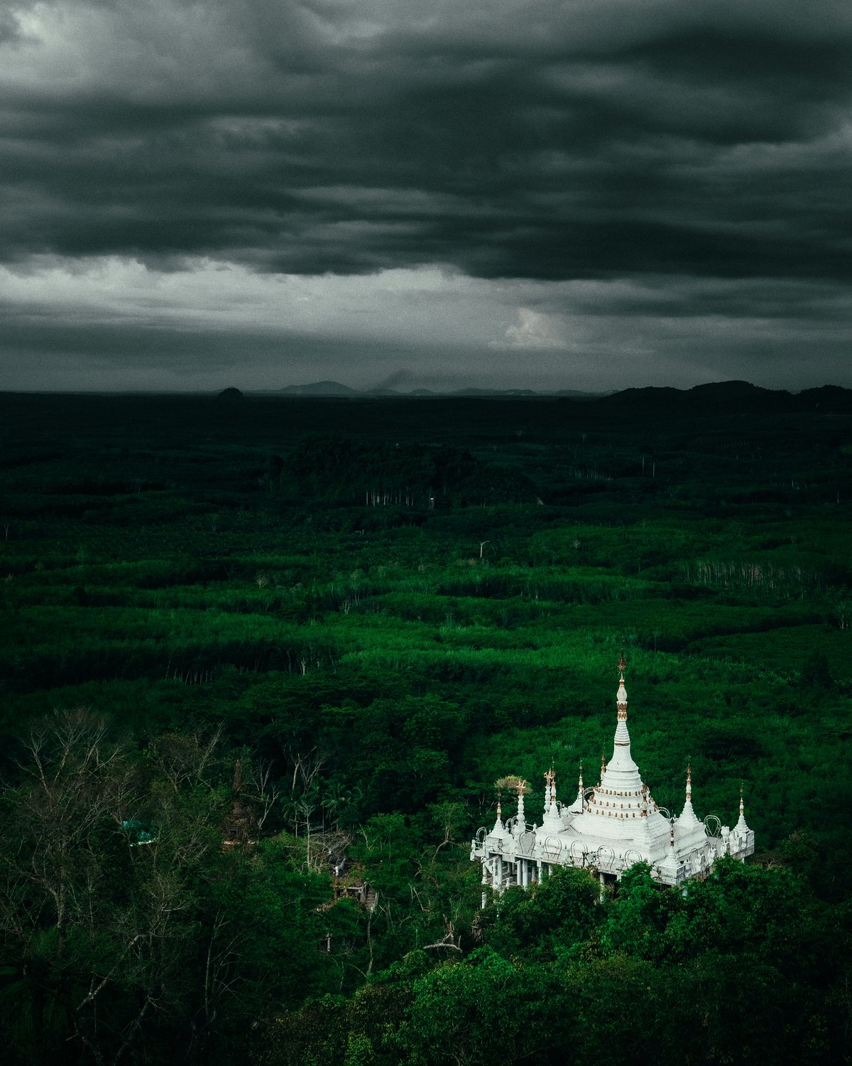A green, lush Thai scene suggesting the variety of seasons