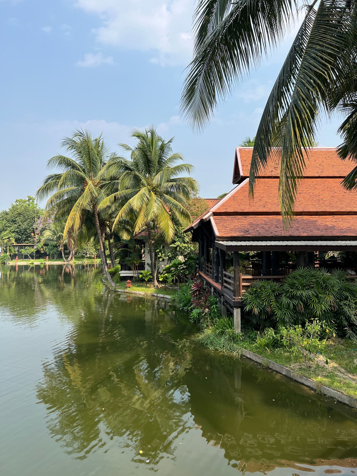 A peaceful Ping River scene in Chiang Mai, or a riverside boutique hotel