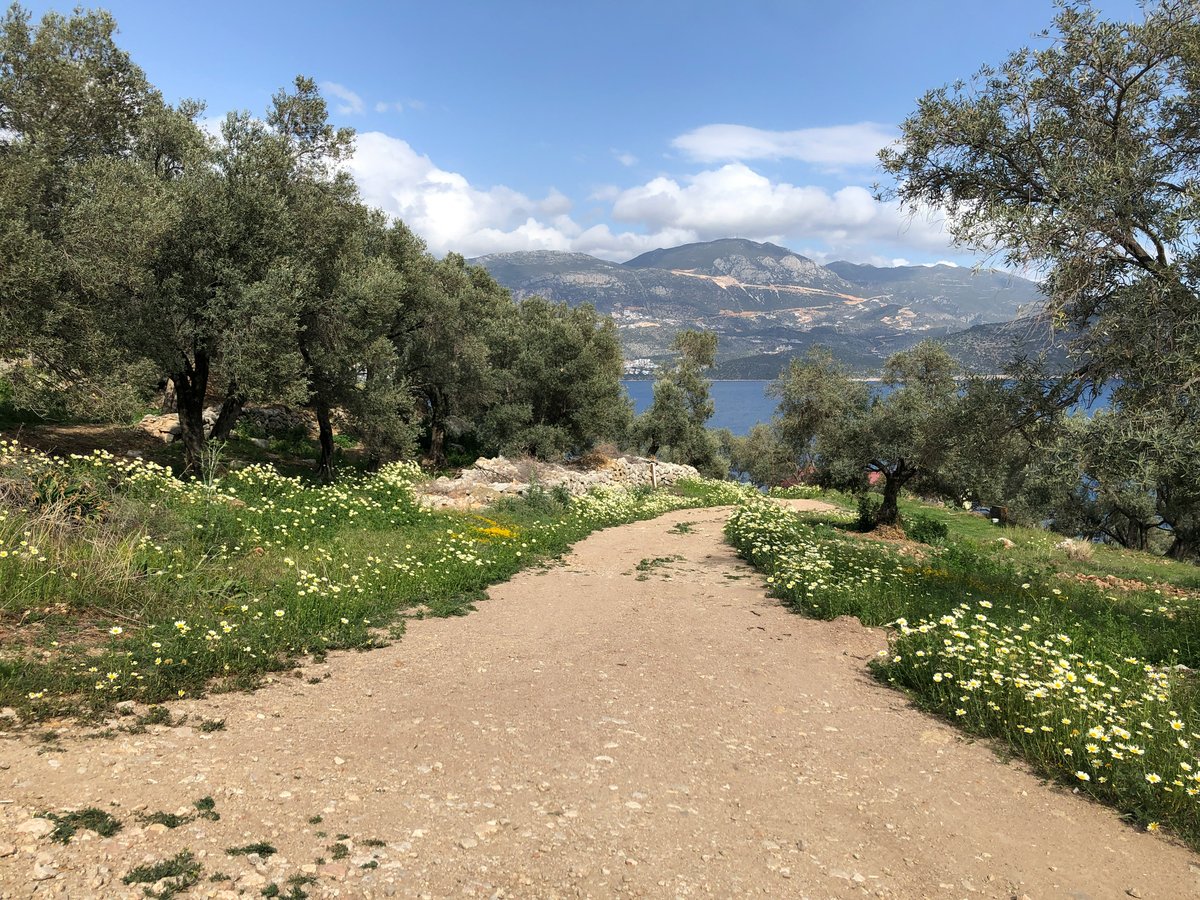 A coastal stretch of the Lycian Way trail with turquoise sea and pine-clad mountains, no recognizable faces