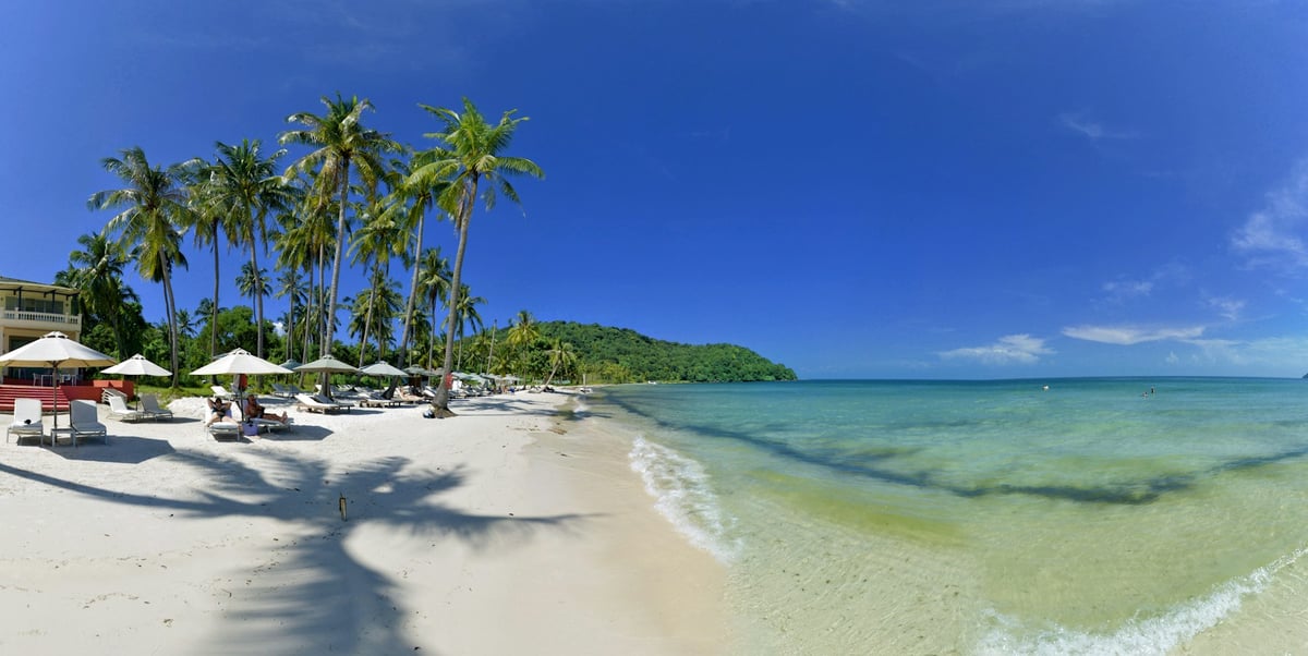 Beach umbrellas and palms at Sao Beach on Phu Quoc