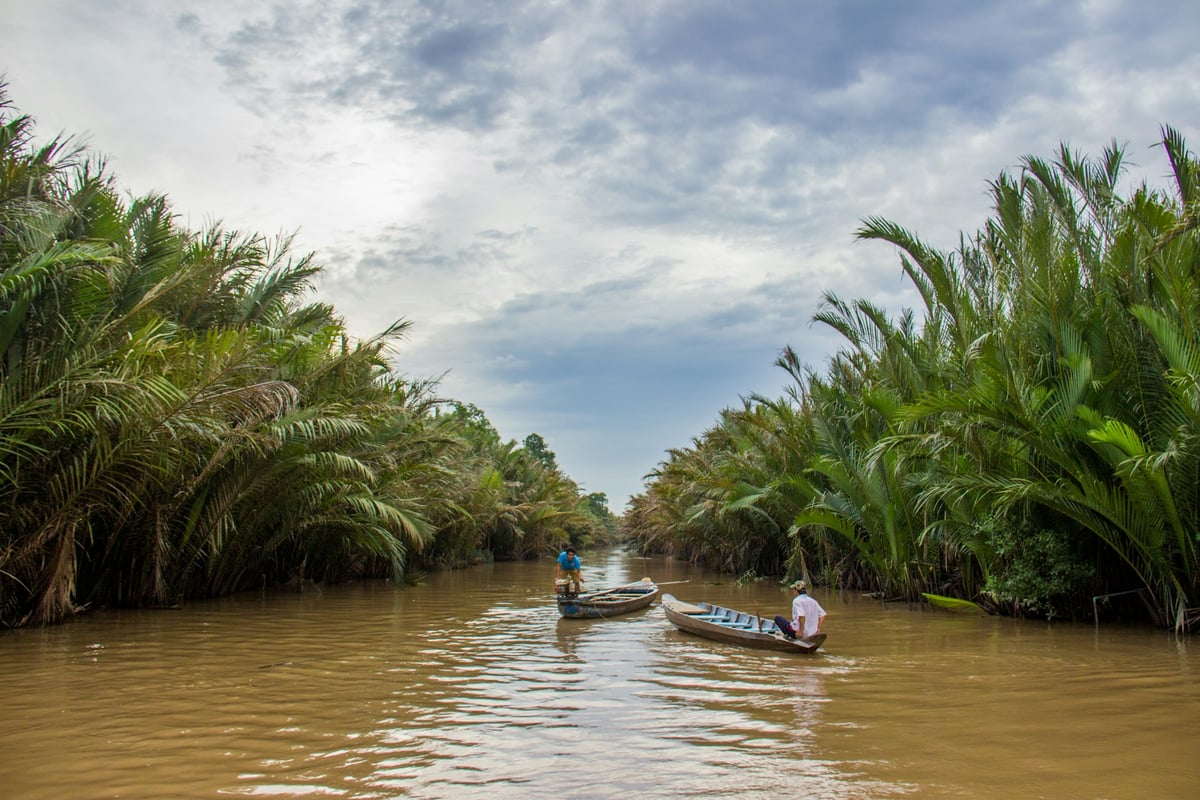 A narrow palm-lined canal in the Mekong Delta with a small boat on it