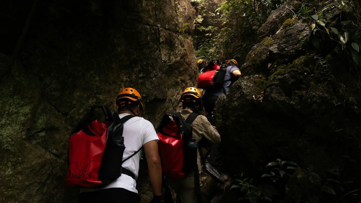 Cavers in helmets climbing a rocky trail into the forest at Phong Nha