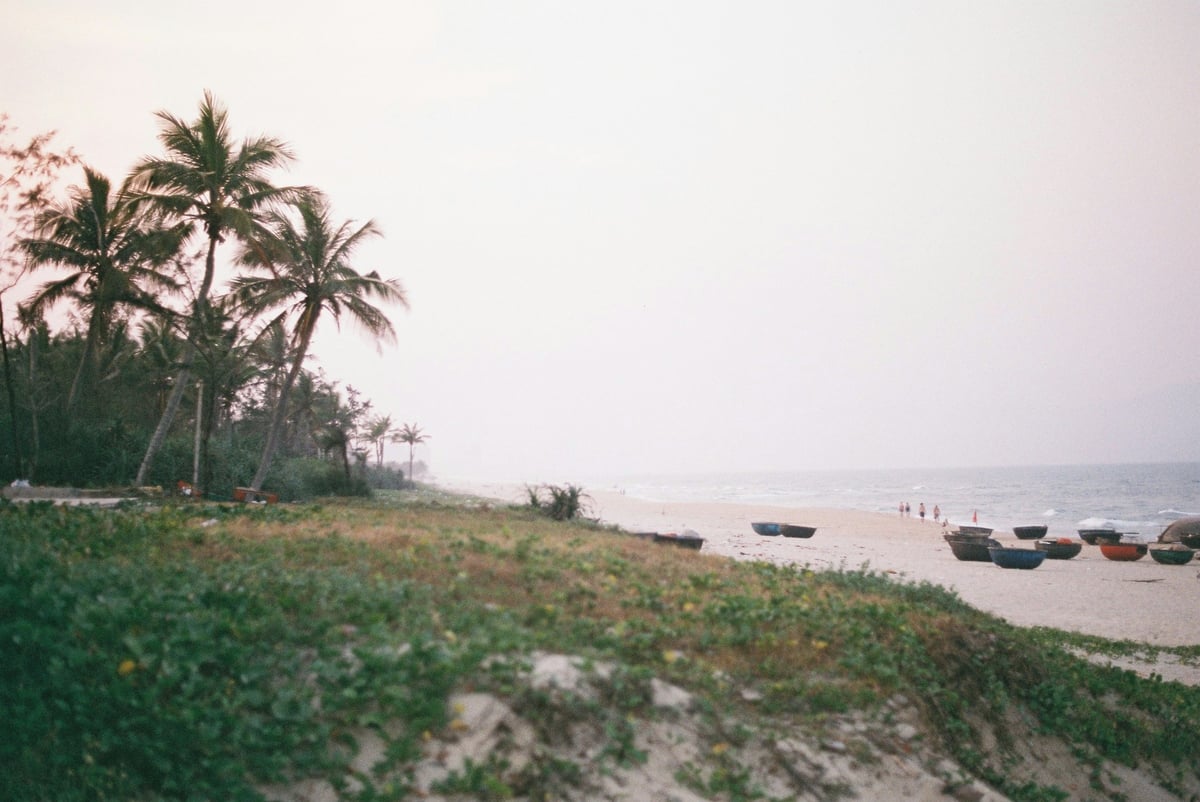 An empty beach backed by palms with fishing boats offshore