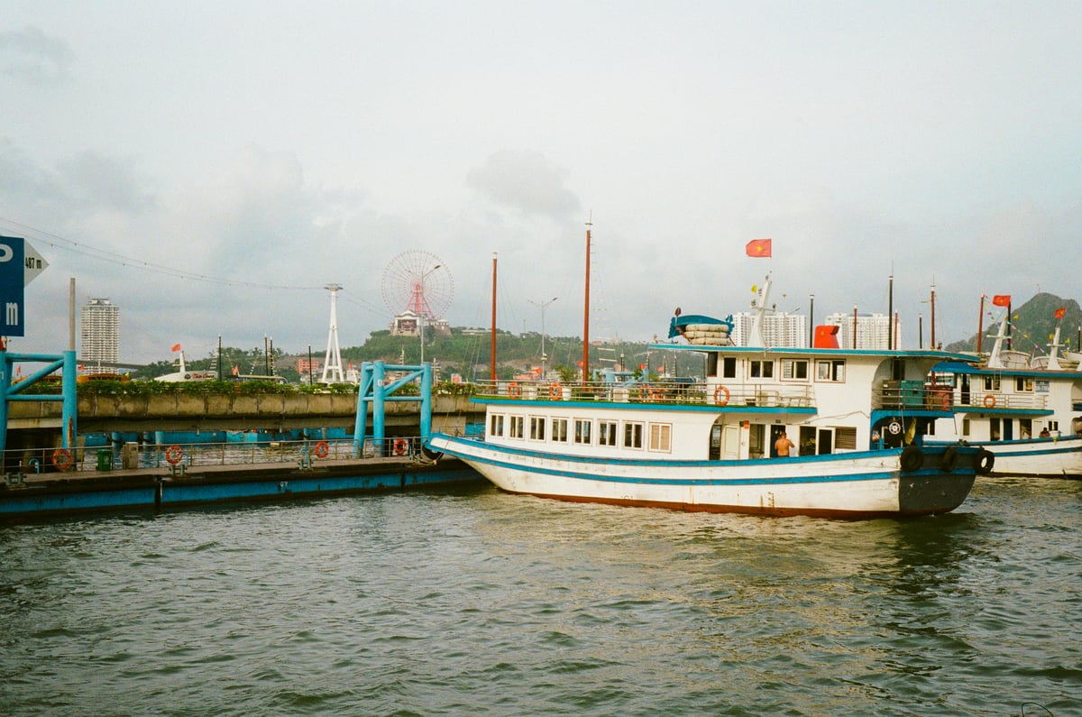 Cruise boats moored side by side in a Ha Long harbour, waiting at the quay instead of sailing