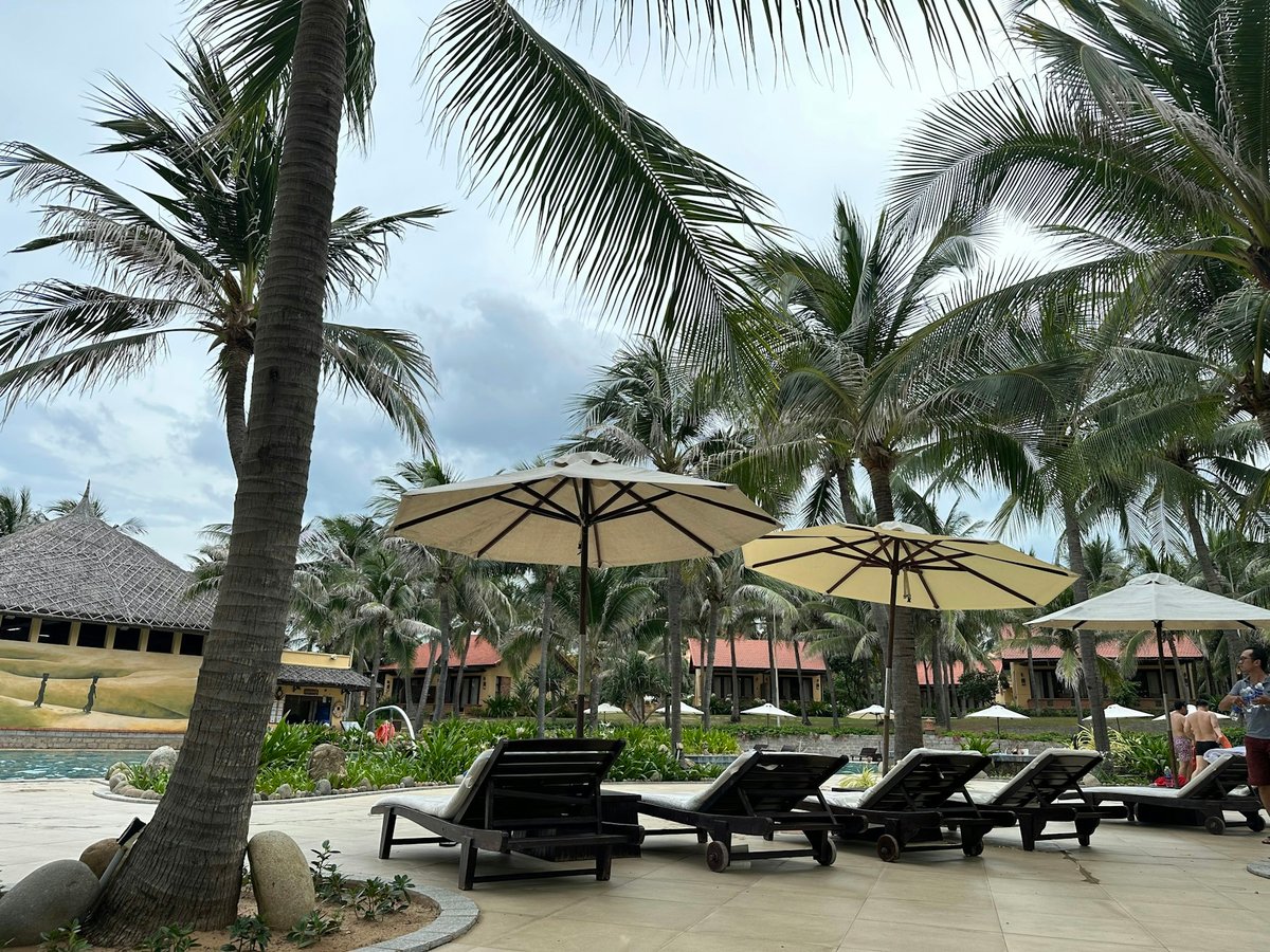 Loungers and umbrellas under palms at a resort on the Mui Ne strip