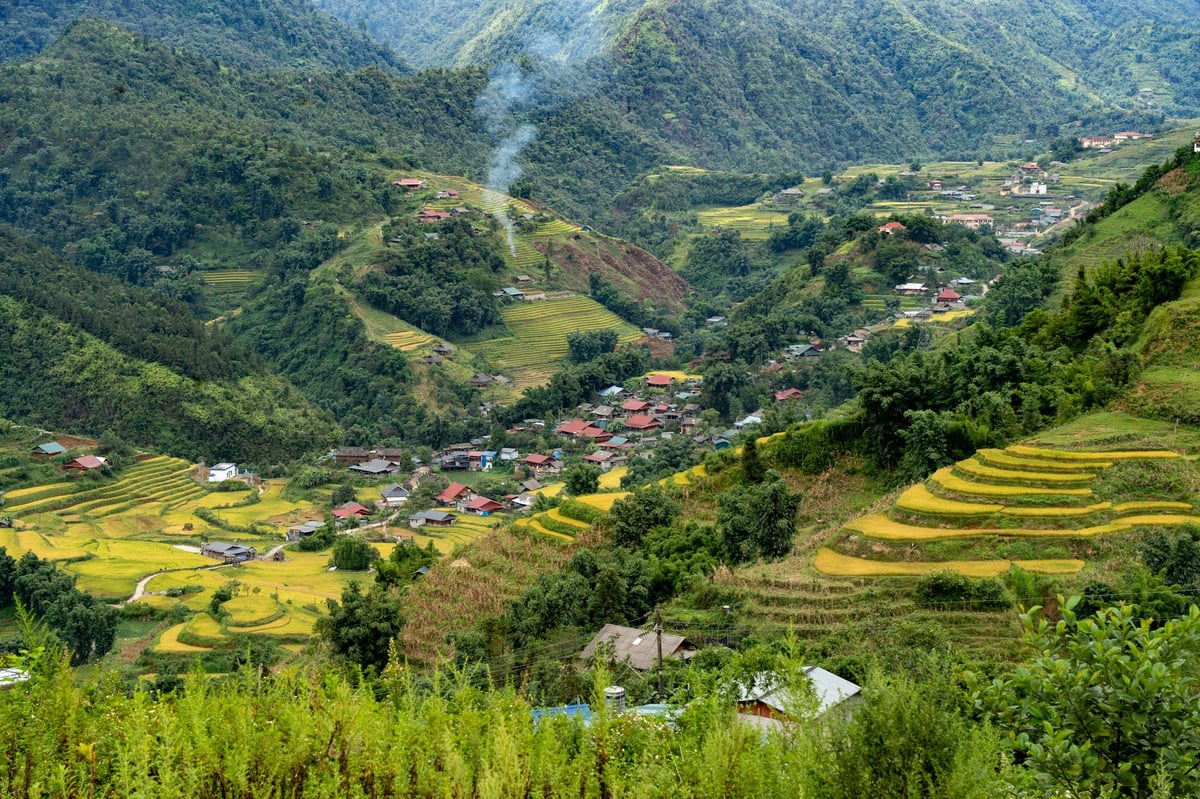 A village of houses set among terraced fields in the Muong Hoa valley