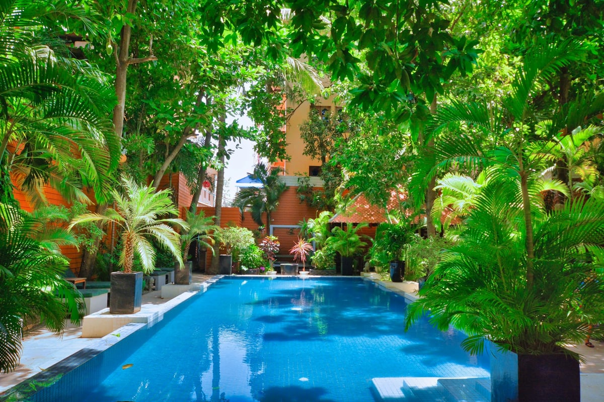 A resort pool and thatched sun shades behind a line of palms