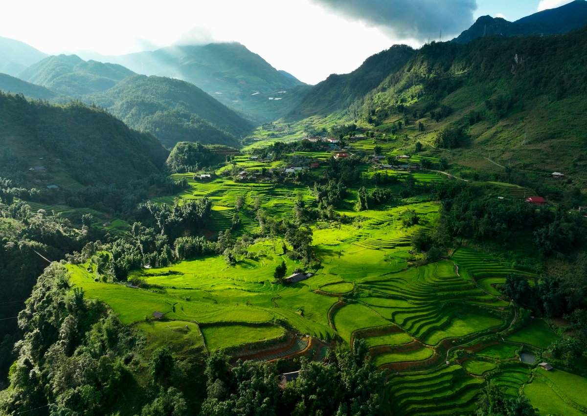 Green rice terraces with scattered houses below Sapa