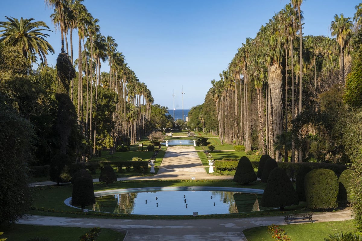 Vista de Argel
