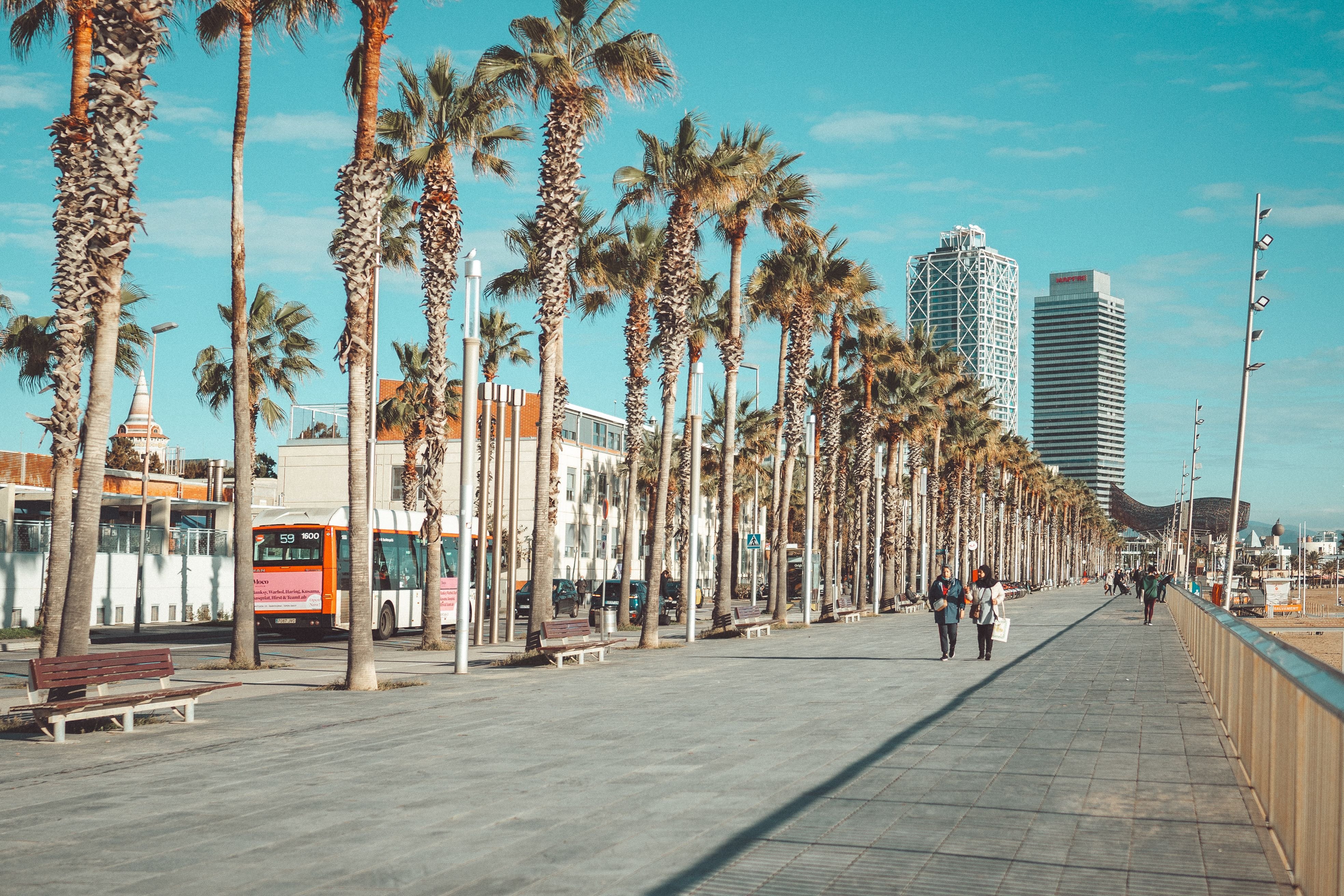 A Barceloneta seafood spread / paella by the sea, or the narrow laundry-hung streets