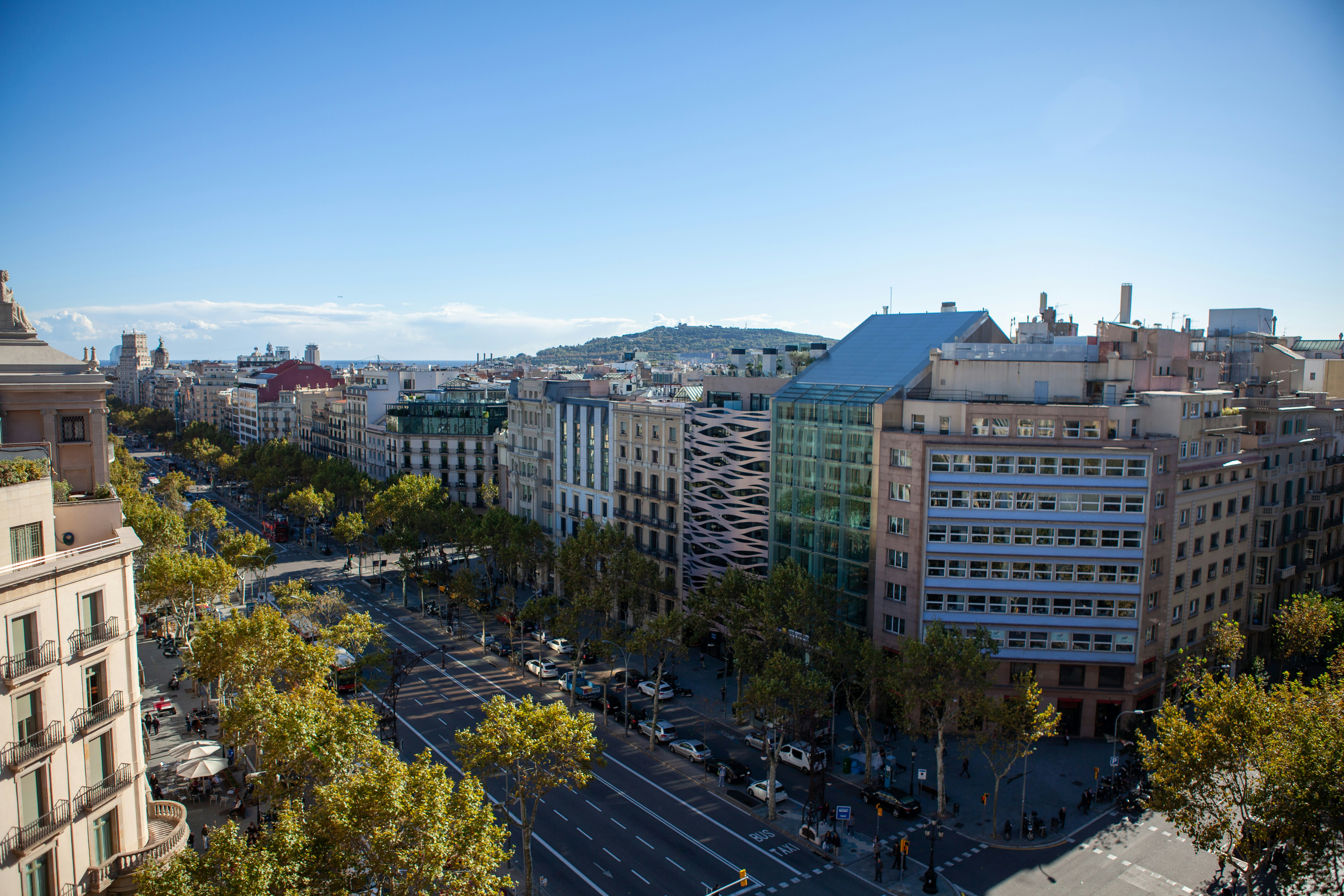 Aerial or elevated view of the Eixample grid showing the distinctive octagonal-cornered blocks