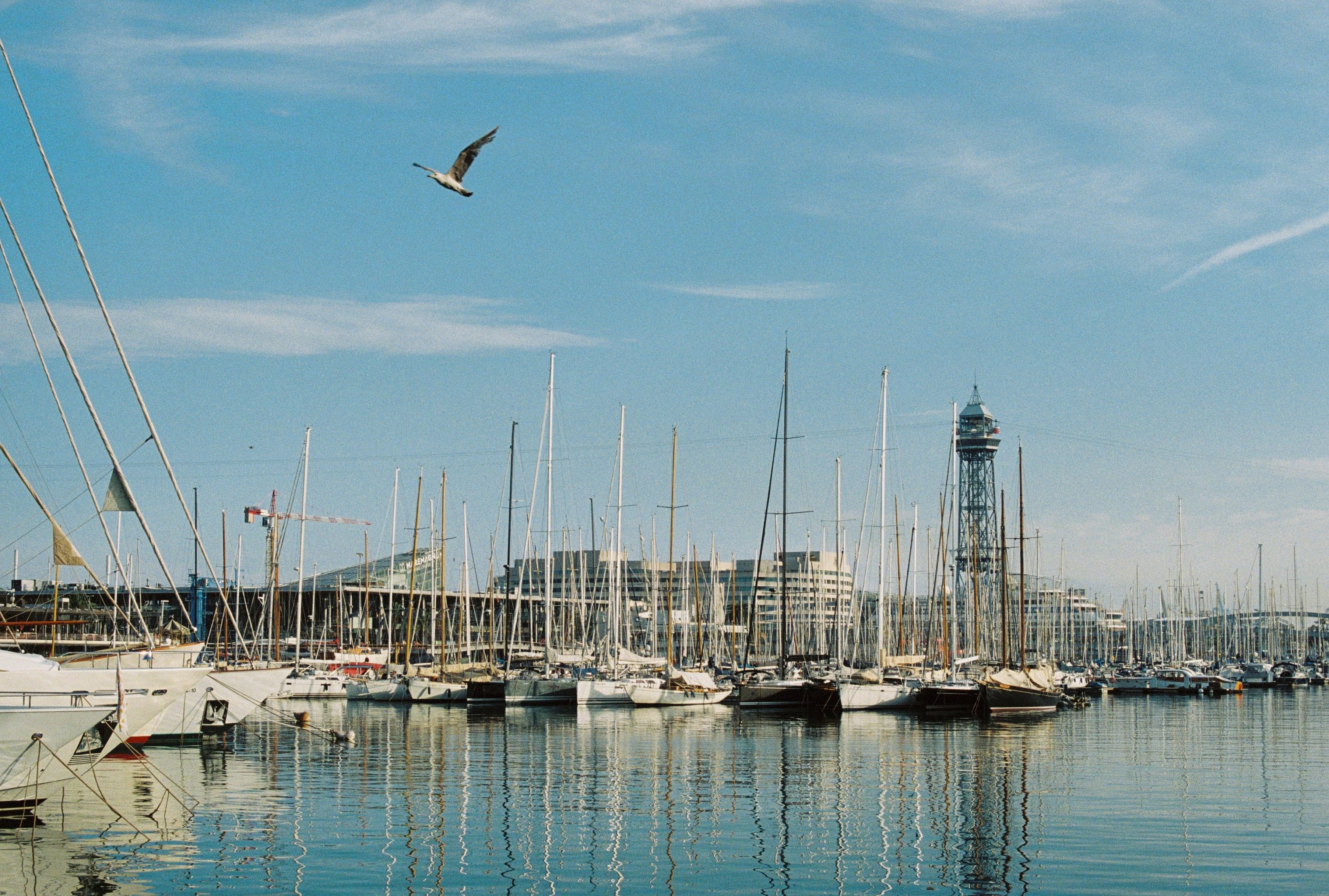 Gothic Quarter lane, La Rambla, or the Barcelona cruise port / waterfront