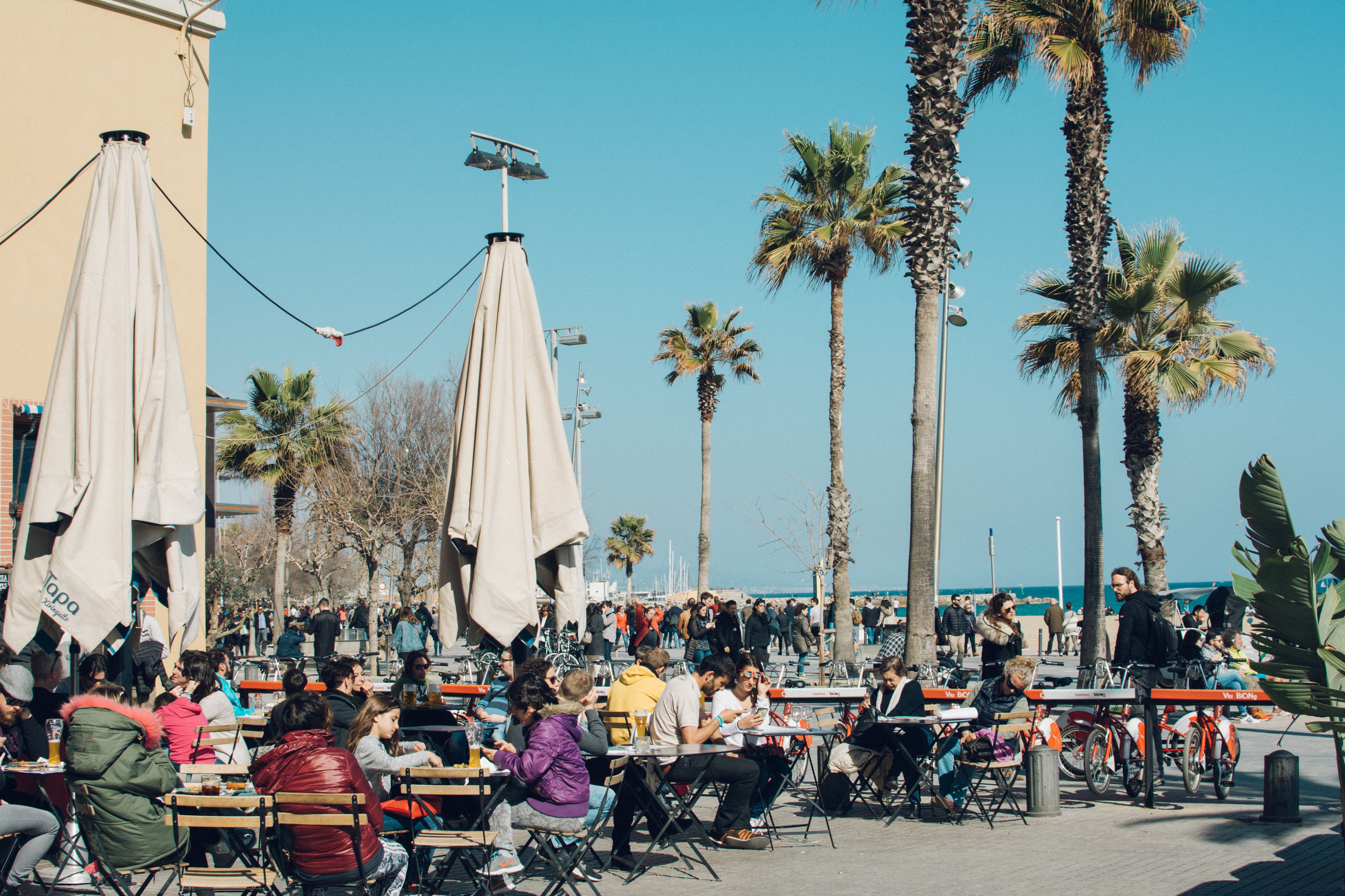 A seaside restaurant scene in Barceloneta, or fideuà with aioli
