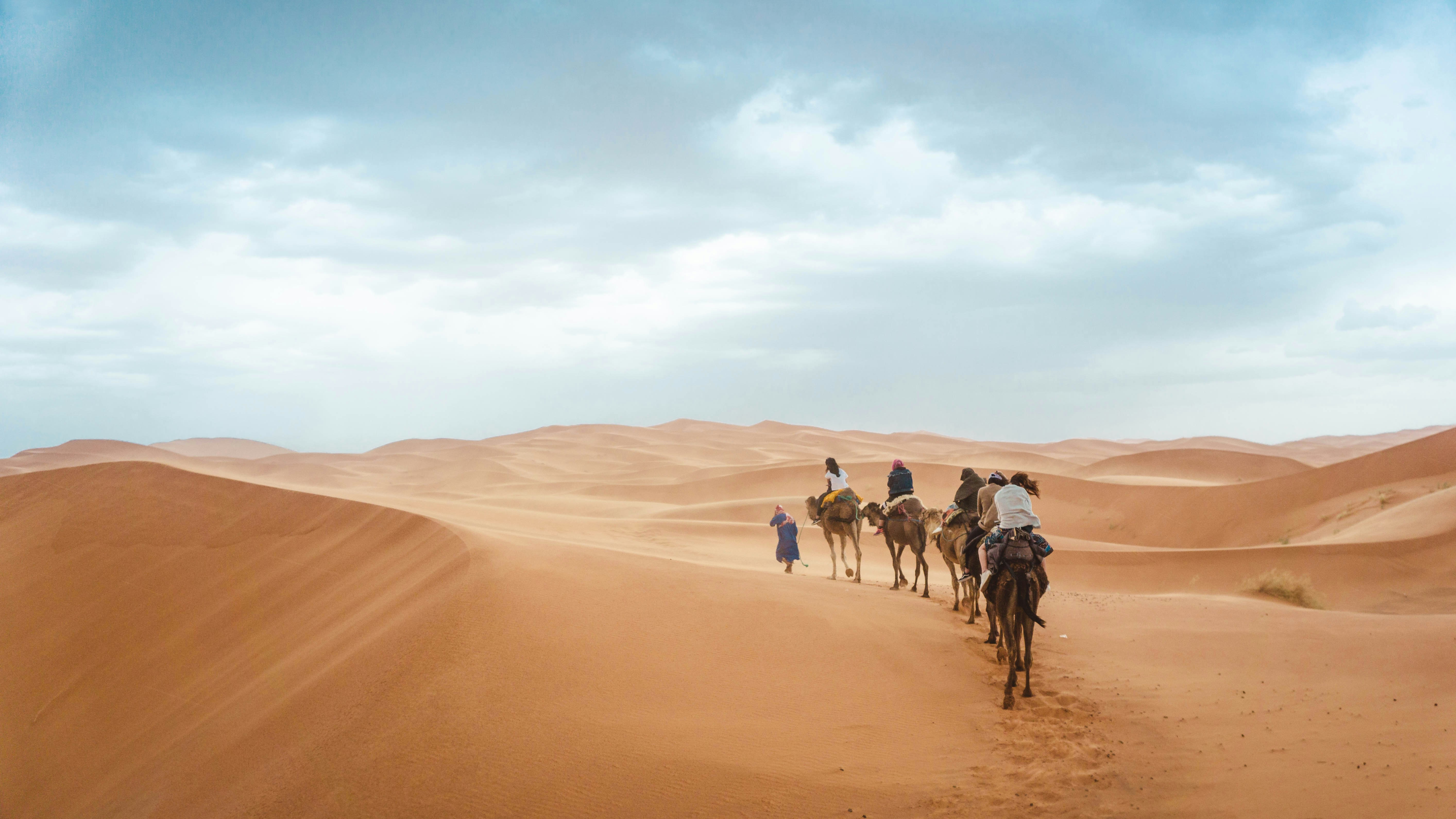 Camel caravan crossing golden Sahara dunes at sunset near Merzouga