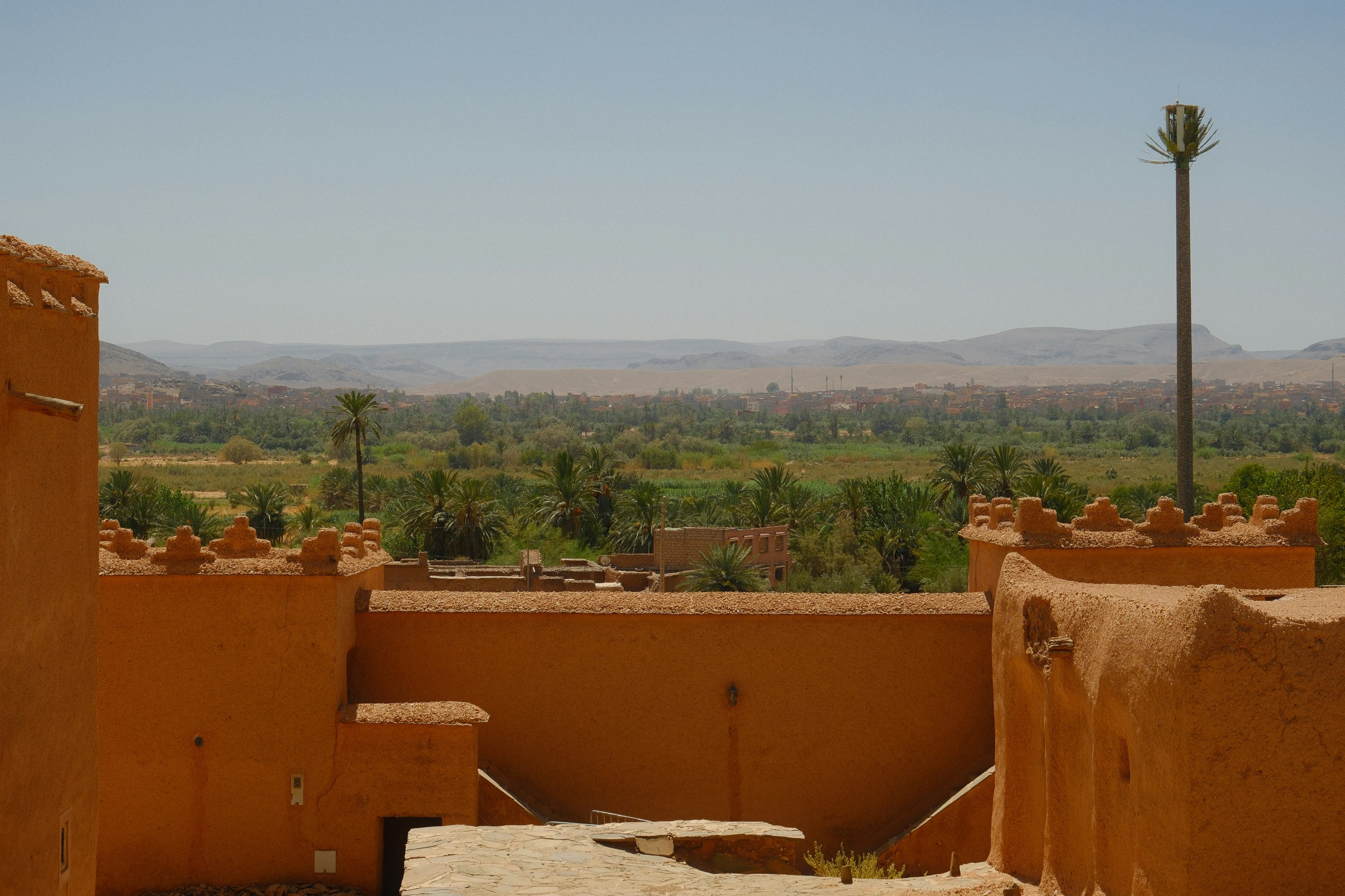 Spring blossoms and green terraces in a Moroccan valley with mountains behind