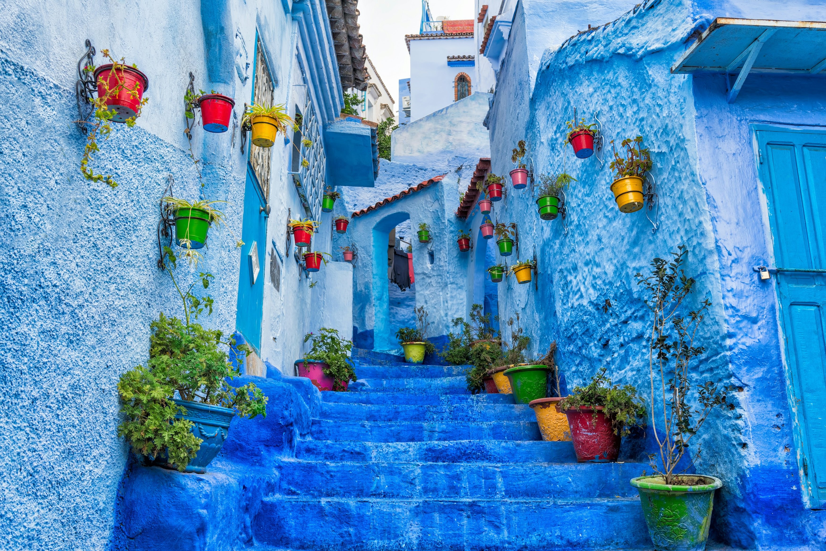 A blue-washed staircase in Chefchaouen decorated with potted plants