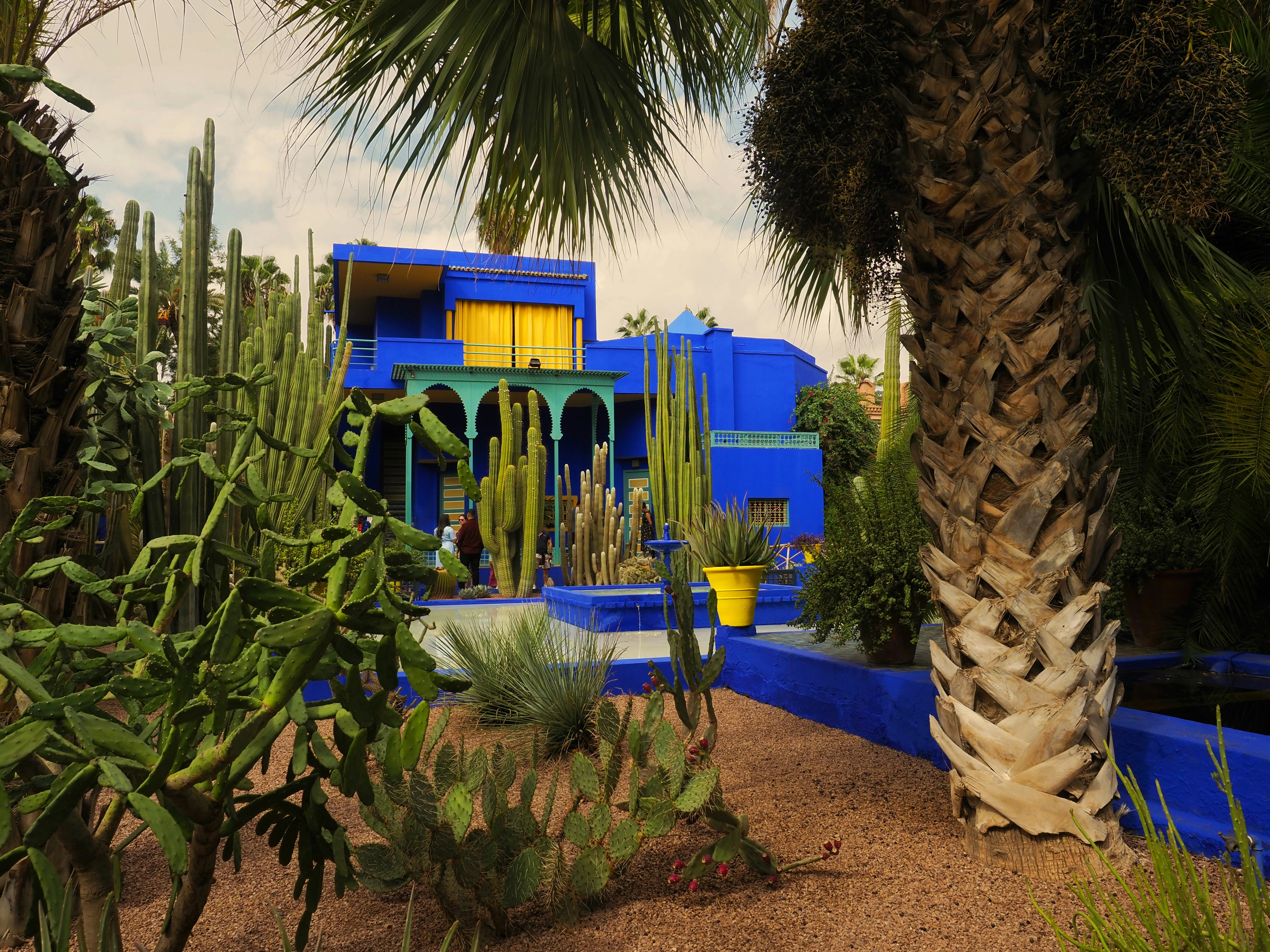 The cobalt-blue walls and fountains of the Majorelle Garden in Marrakech