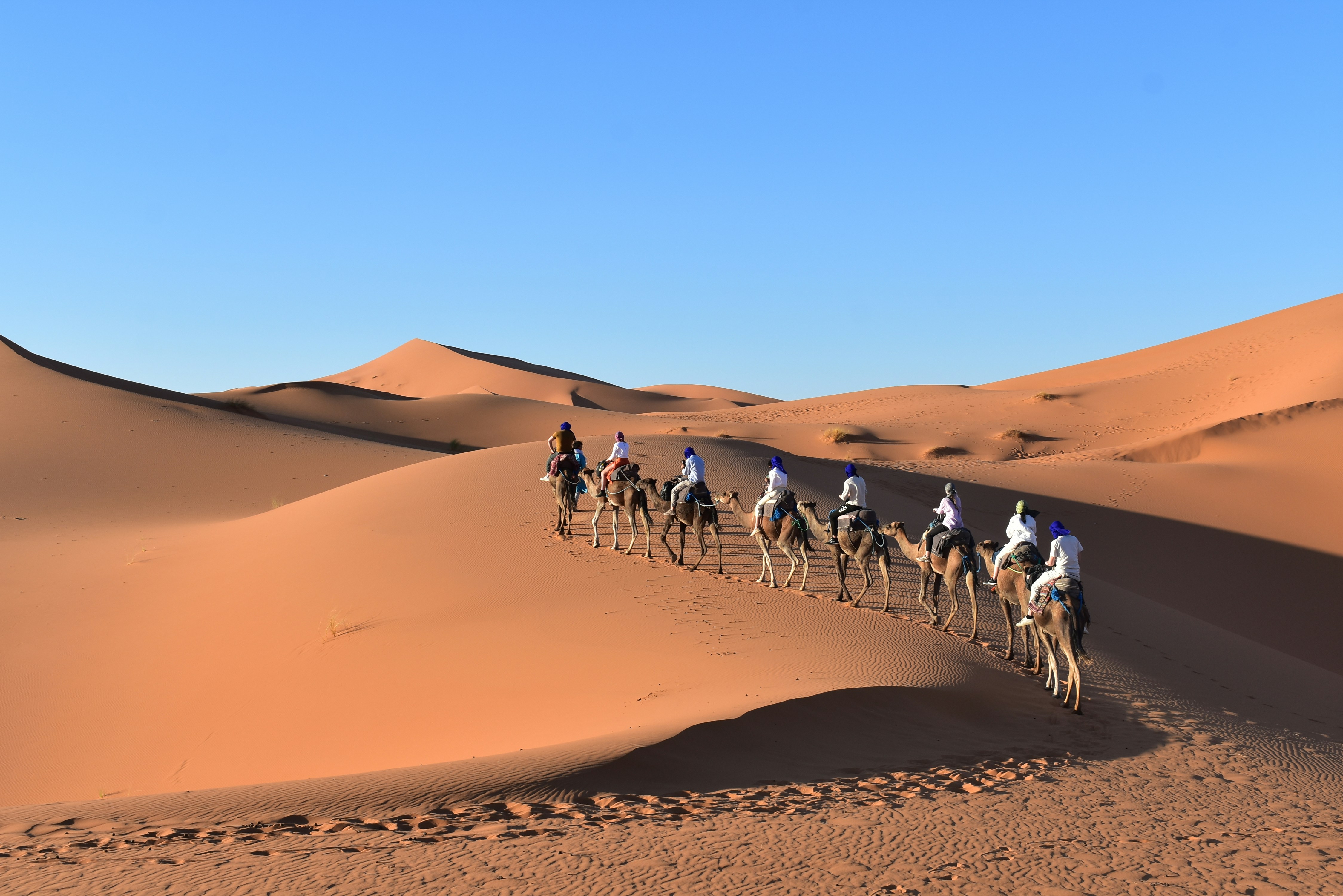 Golden dunes of Erg Chebbi near Merzouga with a camel caravan at sunset