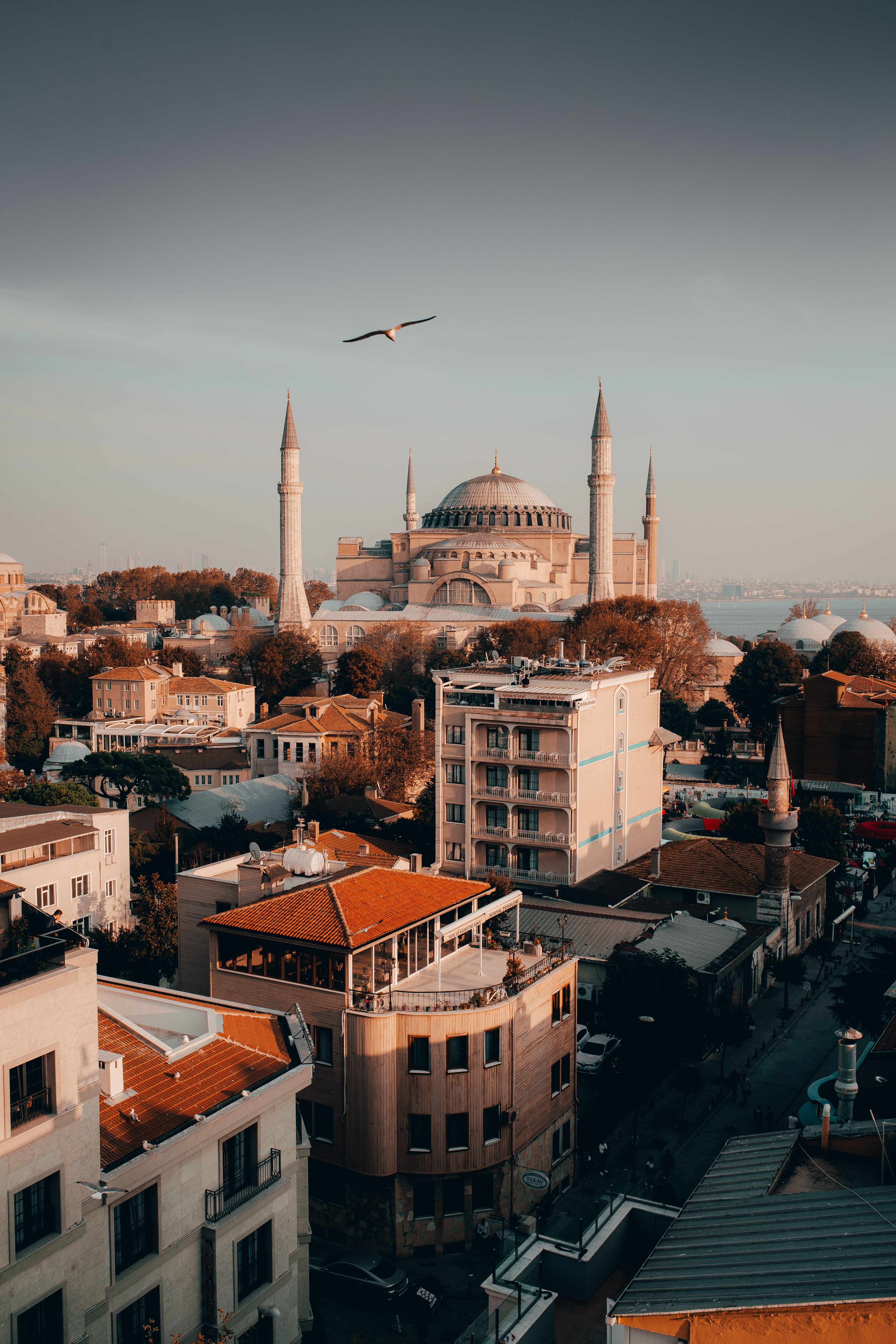 A rooftop terrace in Sultanahmet overlooking the Blue Mosque domes at sunset