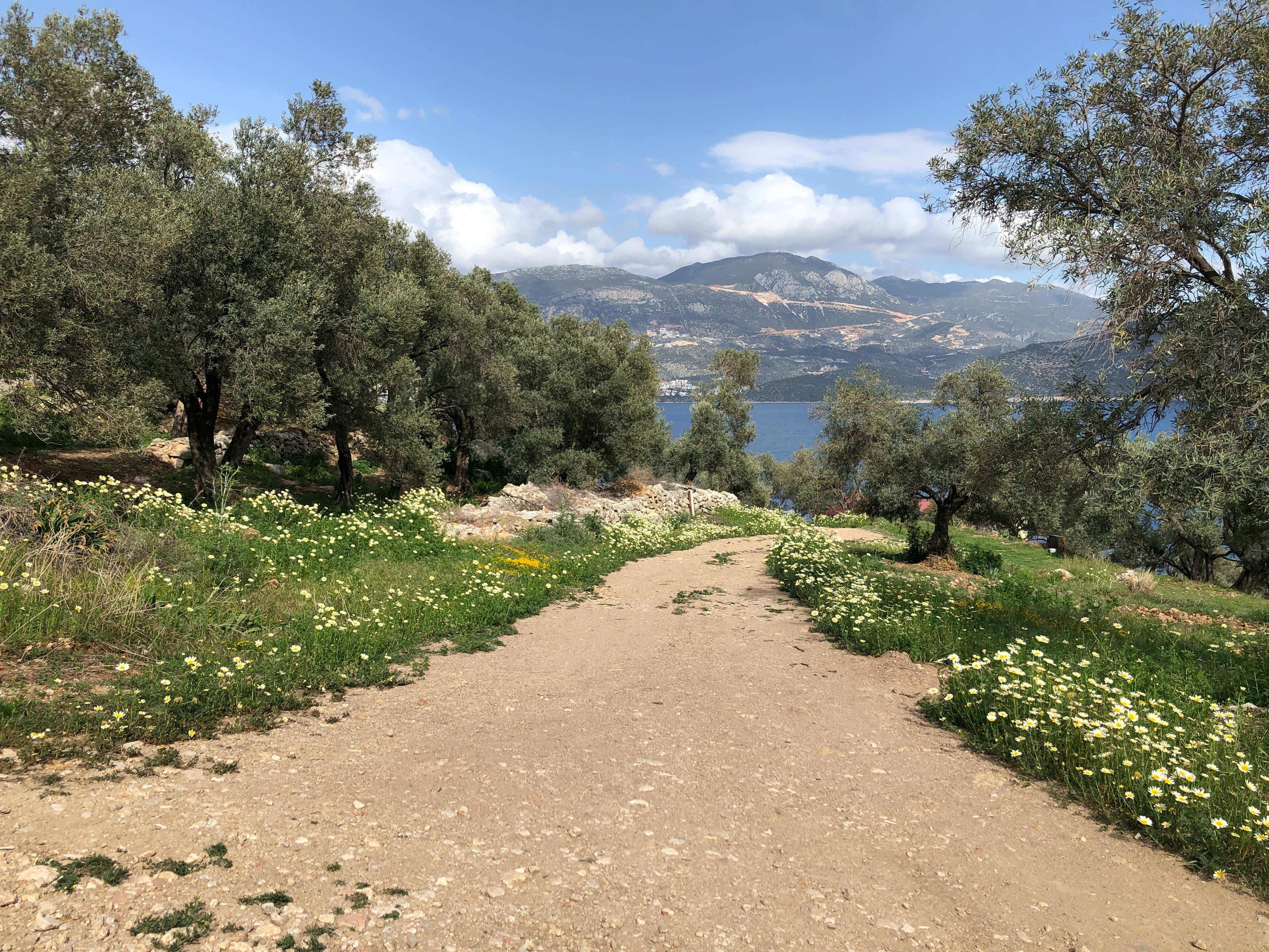 A coastal stretch of the Lycian Way trail with turquoise sea and pine-clad mountains, no recognizable faces